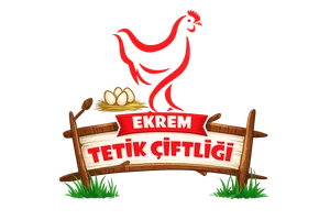 Ekrem Yumurta